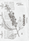 plant-prunus-serotina-2025